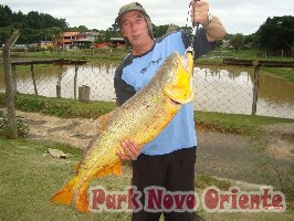 14 -Foto Pesca Esportiva No Park Novo Oriente em Campina Grande do Sul - PR