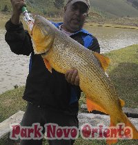 36 -Foto Pesca Esportiva No Park Novo Oriente em Campina Grande do Sul - PR