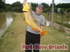 82 -Foto Pesca Esportiva No Park Novo Oriente em Campina Grande do Sul - PR