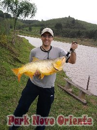 27 -Foto Pesca Esportiva No Park Novo Oriente em Campina Grande do Sul - PR