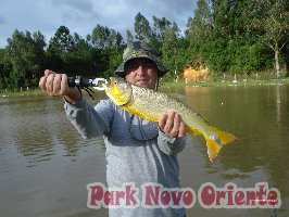 98 -Foto Pesca Esportiva No Park Novo Oriente em Campina Grande do Sul - PR