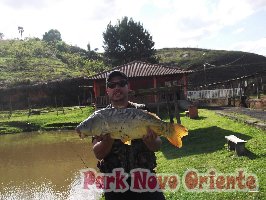 13 -Foto Pesca Esportiva No Park Novo Oriente em Campina Grande do Sul - PR