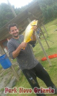 111 -Foto Pesca Esportiva No Park Novo Oriente em Campina Grande do Sul - PR