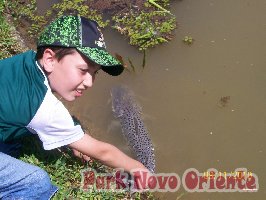 32 -Foto Pesca Esportiva No Park Novo Oriente em Campina Grande do Sul - PR