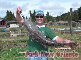 85 -Foto Pesca Esportiva No Park Novo Oriente em Campina Grande do Sul - PR